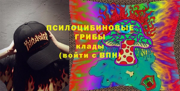 хмурый Алексеевка