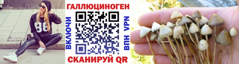 Галлюциногенные грибы Magic Shrooms закладка Фатеж